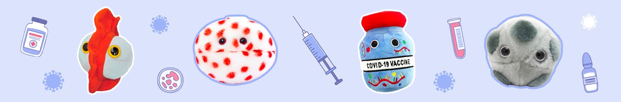 Vaccinations Vaccinations