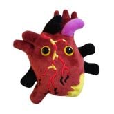 Heart Health Deluxe 3-Pack